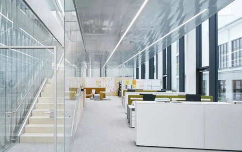 璀璨新路径 工业旅游如何助施华洛世奇抵御疫情与网购冲击